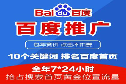 竞价广告的投放策略：XX企业成功案例解析